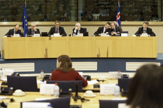 European Parliament. 7th meeting of the EU-Iceland Joint Parliamentary Committee. (EP Audiovisual Services, 28/11/2013).