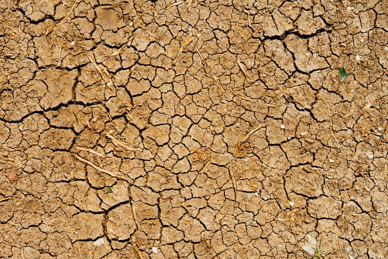 European Union policy for improving drought preparedness and mitigation - The European Sting