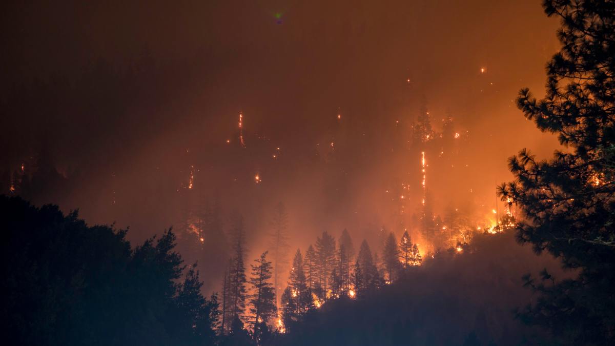 Lesní požáry: EU posílá pomoc na boj s požáry na česko-německé hranici – The European Sting – Kritické zprávy a postřehy o evropské politice, ekonomice, zahraničních věcech, podnikání a technologiích